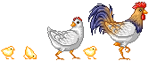 pixel chicken family